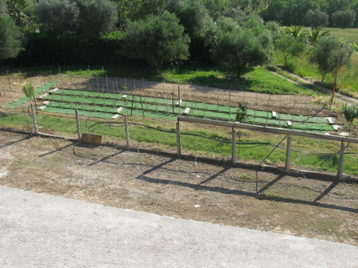 Corropoli Residence Il Villaggio Del Re מראה חיצוני תמונה